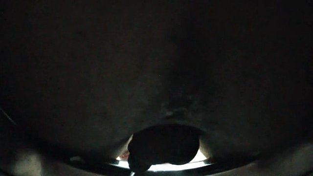 czech gay toilets