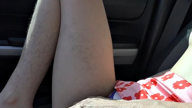 Hairy babe comes on a trip to Malinu and fucks and sucks in the car POV (SIa Wood)
