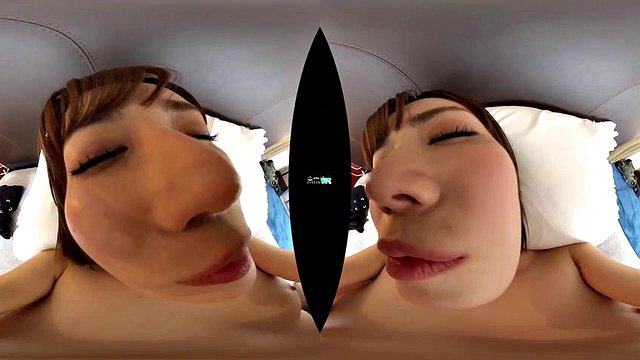 Collection VR 6: Cowgirl, Missonary & Japanese Porn