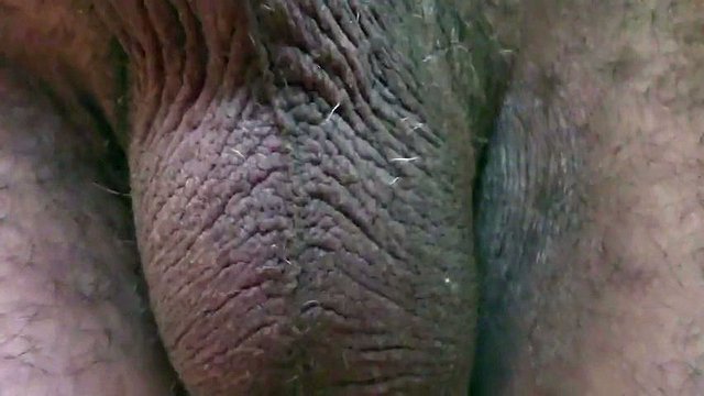 1 volta sul sito