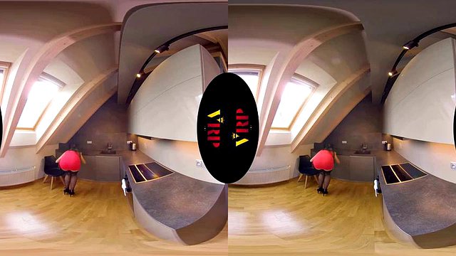 6356356：口交、小狗和女牛仔 VR 色情