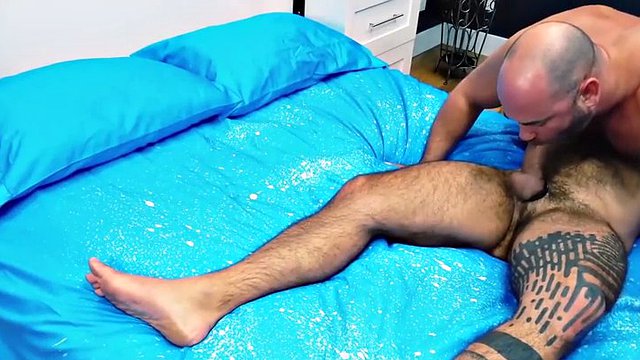 hairy bear teddy torres breeds cock hungry tyler reed