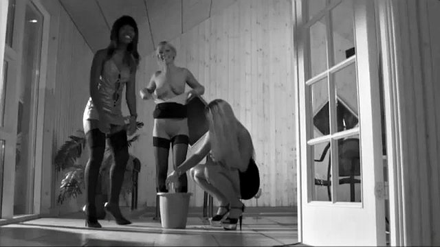 svensk elise / felicia brottom: Blowjob, Amatør & Babe Porn