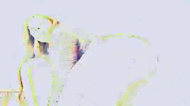 Kelly Star on Lex ft. Lexington Steele: Big Ass, Blowjob & Hardcore Porn