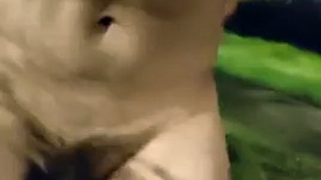 Nudo che cammina in un parco sul lato di un'autostrada trafficata e fa pipì