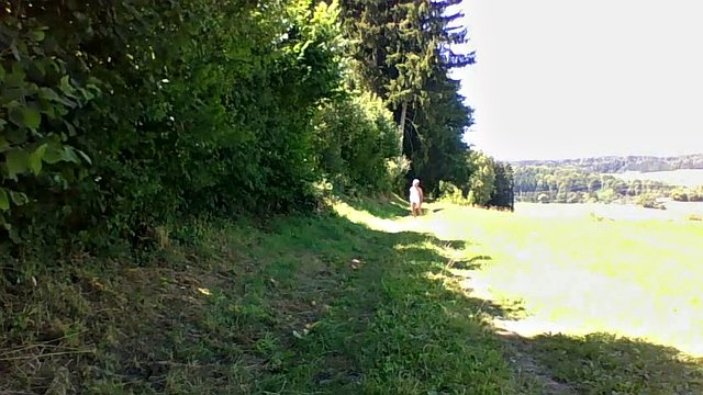 wank in the forest