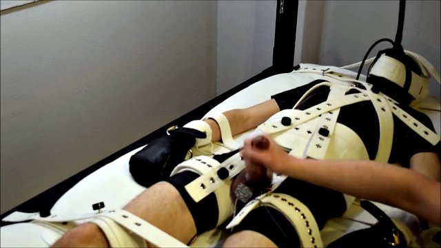 segufix & VR glasses