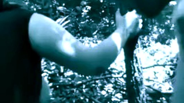 dogging wife fucking bbc in the woods