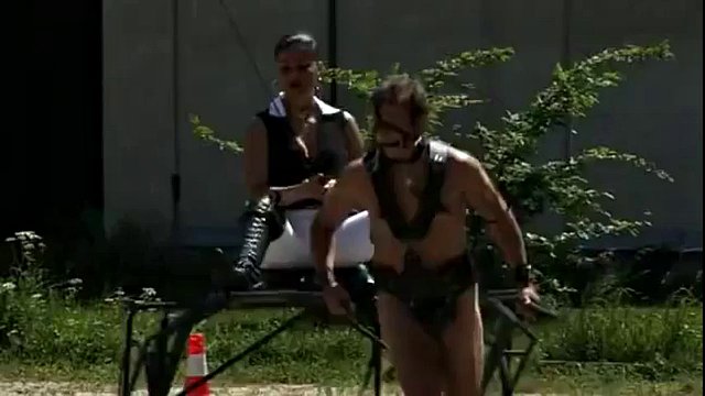 pony slave 2