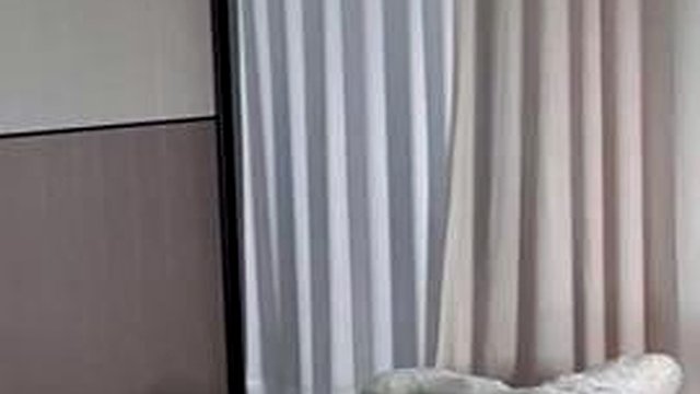 korean: Masturbation, Homemade & Korean Bj Porn