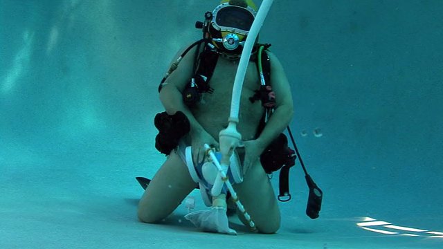 SCUBA Bear feeding pool cleaner