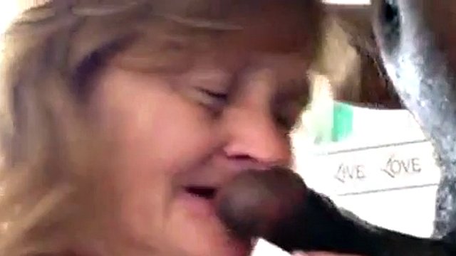 Gum Job Garanny Best Blowjob